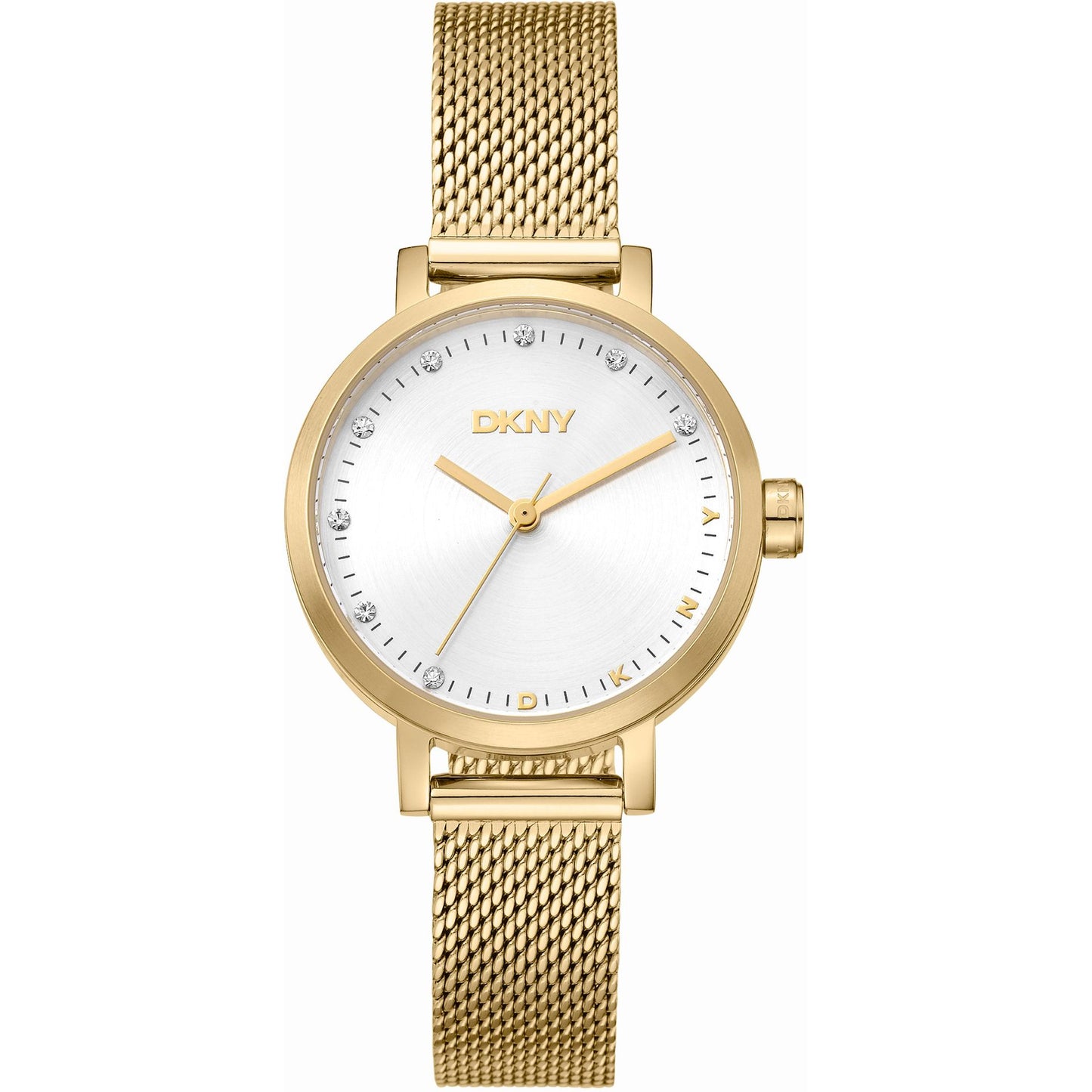 Dkny Laikrodis